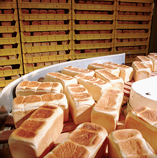 Food Bread Loaves Factory 2008